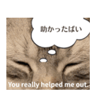 長崎弁×English ゆるトークスタンプ vol.1（個別スタンプ：18）