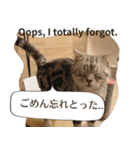 長崎弁×English ゆるトークスタンプ vol.1（個別スタンプ：19）