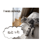 長崎弁×English ゆるトークスタンプ vol.1（個別スタンプ：21）