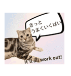 長崎弁×English ゆるトークスタンプ vol.1（個別スタンプ：23）