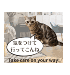 長崎弁×English ゆるトークスタンプ vol.1（個別スタンプ：24）