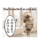長崎弁×English ゆるトークスタンプ vol.1（個別スタンプ：25）