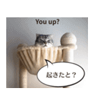 長崎弁×English ゆるトークスタンプ vol.1（個別スタンプ：27）