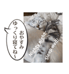 長崎弁×English ゆるトークスタンプ vol.1（個別スタンプ：28）