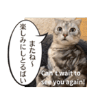 長崎弁×English ゆるトークスタンプ vol.1（個別スタンプ：29）
