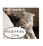 長崎弁×English ゆるトークスタンプ vol.1（個別スタンプ：30）