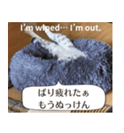 長崎弁×English ゆるトークスタンプ vol.1（個別スタンプ：32）