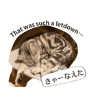 長崎弁×English ゆるトークスタンプ vol.1（個別スタンプ：33）