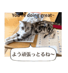 長崎弁×English ゆるトークスタンプ vol.1（個別スタンプ：34）