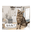 長崎弁×English ゆるトークスタンプ vol.1（個別スタンプ：35）