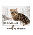 長崎弁×English ゆるトークスタンプ vol.1（個別スタンプ：38）