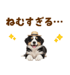 毎日使える♪ボーダーコリー子犬スタンプ（個別スタンプ：9）