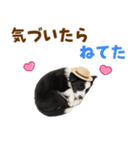 毎日使える♪ボーダーコリー子犬スタンプ（個別スタンプ：27）