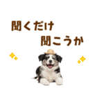 毎日使える♪ボーダーコリー子犬スタンプ（個別スタンプ：38）