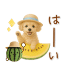 ⚡飛び出すトイプードルの「夏」の毎日（個別スタンプ：1）