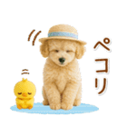 ⚡飛び出すトイプードルの「夏」の毎日（個別スタンプ：3）