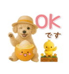 ⚡飛び出すトイプードルの「夏」の毎日（個別スタンプ：4）
