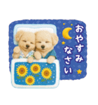 ⚡飛び出すトイプードルの「夏」の毎日（個別スタンプ：8）