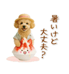 ⚡飛び出すトイプードルの「夏」の毎日（個別スタンプ：10）