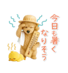 ⚡飛び出すトイプードルの「夏」の毎日（個別スタンプ：14）