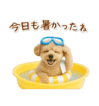 ⚡飛び出すトイプードルの「夏」の毎日（個別スタンプ：15）