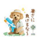 ⚡飛び出すトイプードルの「夏」の毎日（個別スタンプ：20）