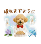 ⚡飛び出すトイプードルの「夏」の毎日（個別スタンプ：22）