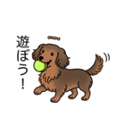 名前入りダックスシェーデッドレッド②（個別スタンプ：1）