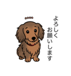 名前入りダックスシェーデッドレッド②（個別スタンプ：4）