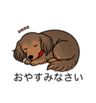 名前入りダックスシェーデッドレッド②（個別スタンプ：9）