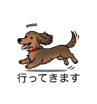 名前入りダックスシェーデッドレッド②（個別スタンプ：13）