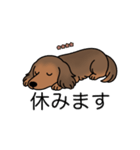 名前入りダックスシェーデッドレッド②（個別スタンプ：16）