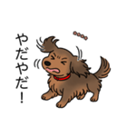 名前入りダックスシェーデッドレッド②（個別スタンプ：23）