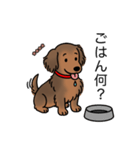 名前入りダックスシェーデッドレッド②（個別スタンプ：24）