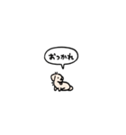 小さいチワックス(フキダシ)（個別スタンプ：3）