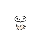 小さいチワックス(フキダシ)（個別スタンプ：10）