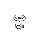 小さいチワックス(フキダシ)（個別スタンプ：17）