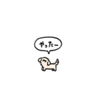 小さいチワックス(フキダシ)（個別スタンプ：20）
