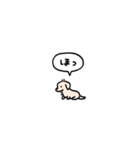 小さいチワックス(フキダシ)（個別スタンプ：24）