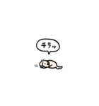 小さいチワックス(フキダシ)（個別スタンプ：37）
