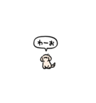 小さいチワックス(フキダシ)（個別スタンプ：38）