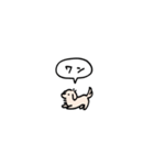 小さいチワックス(フキダシ)（個別スタンプ：40）