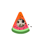 あんこ実写版Nya-pero（個別スタンプ：6）