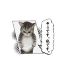 hiish -イッシュ-のそこそこ使えるスタンプ（個別スタンプ：8）