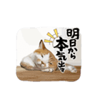 hiish -イッシュ-のそこそこ使えるスタンプ（個別スタンプ：10）