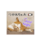 hiish -イッシュ-のそこそこ使えるスタンプ（個別スタンプ：11）