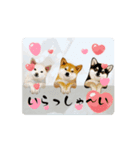 hiish -イッシュ-のそこそこ使えるスタンプ（個別スタンプ：12）