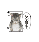 hiish -イッシュ-のそこそこ使えるスタンプ（個別スタンプ：13）