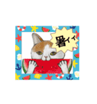 hiish -イッシュ-のそこそこ使えるスタンプ（個別スタンプ：15）