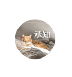 LULU ＆ KIKI  ver.1（個別スタンプ：11）